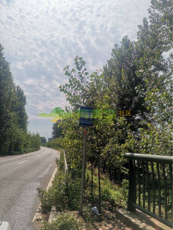 1753025072