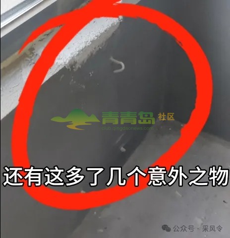 1752803529