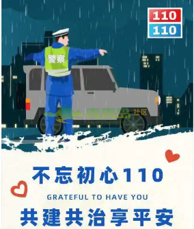 1755981593
