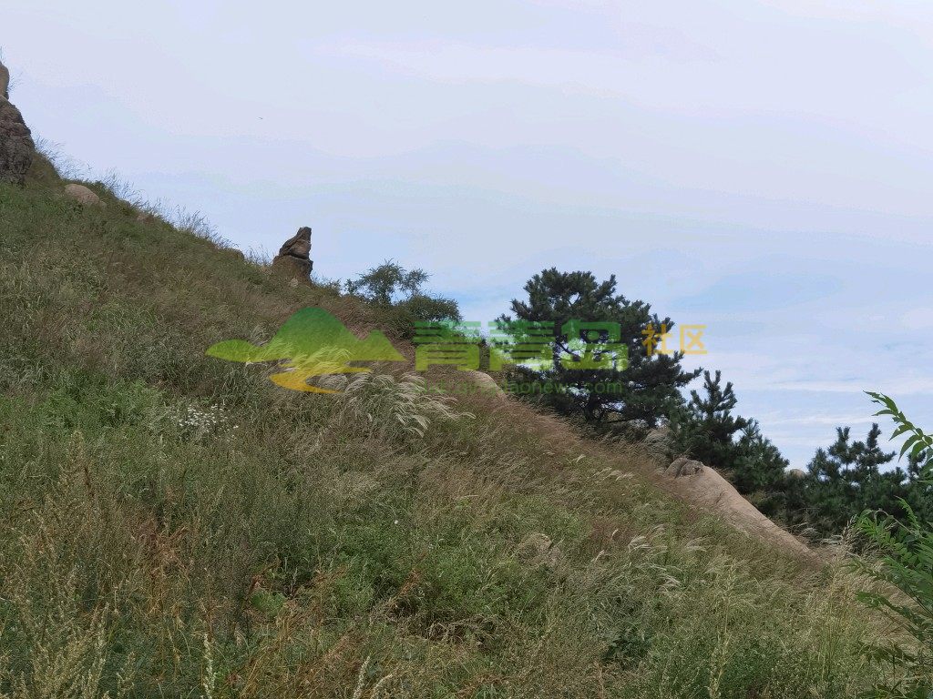1752716133