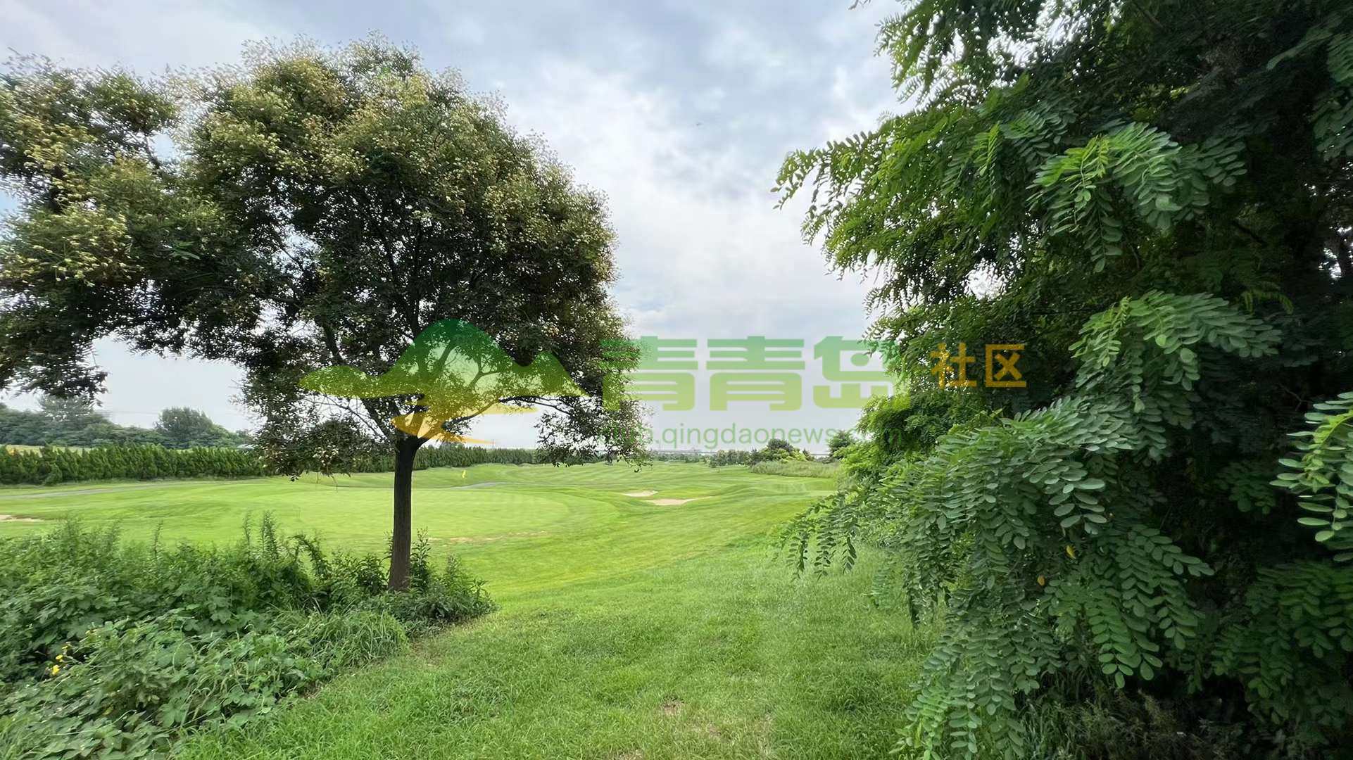 1767561915
