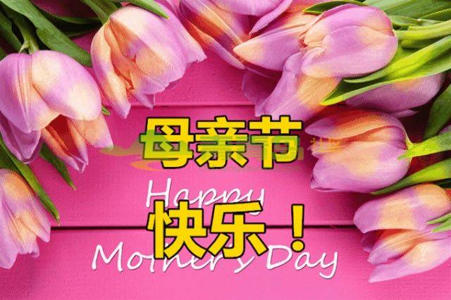 今天是母亲节,祝天下所有的母亲节日快乐!幸福平安