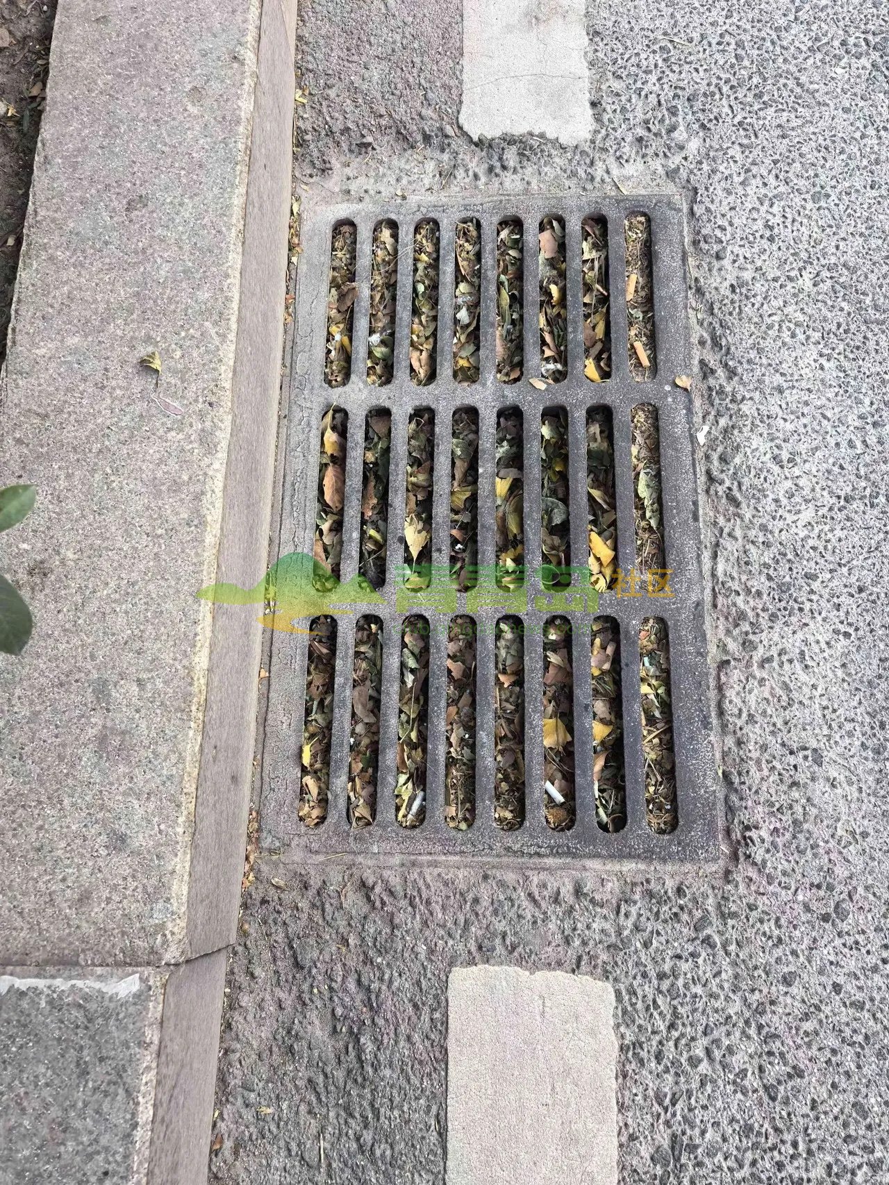 1775506497