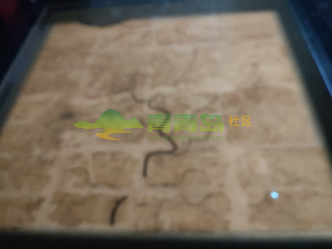 1752793302