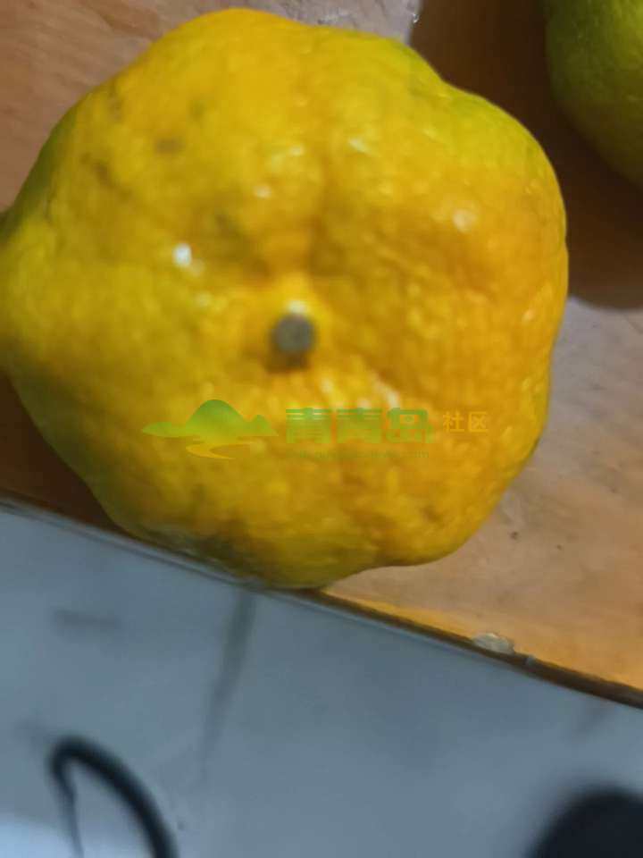 1789069938