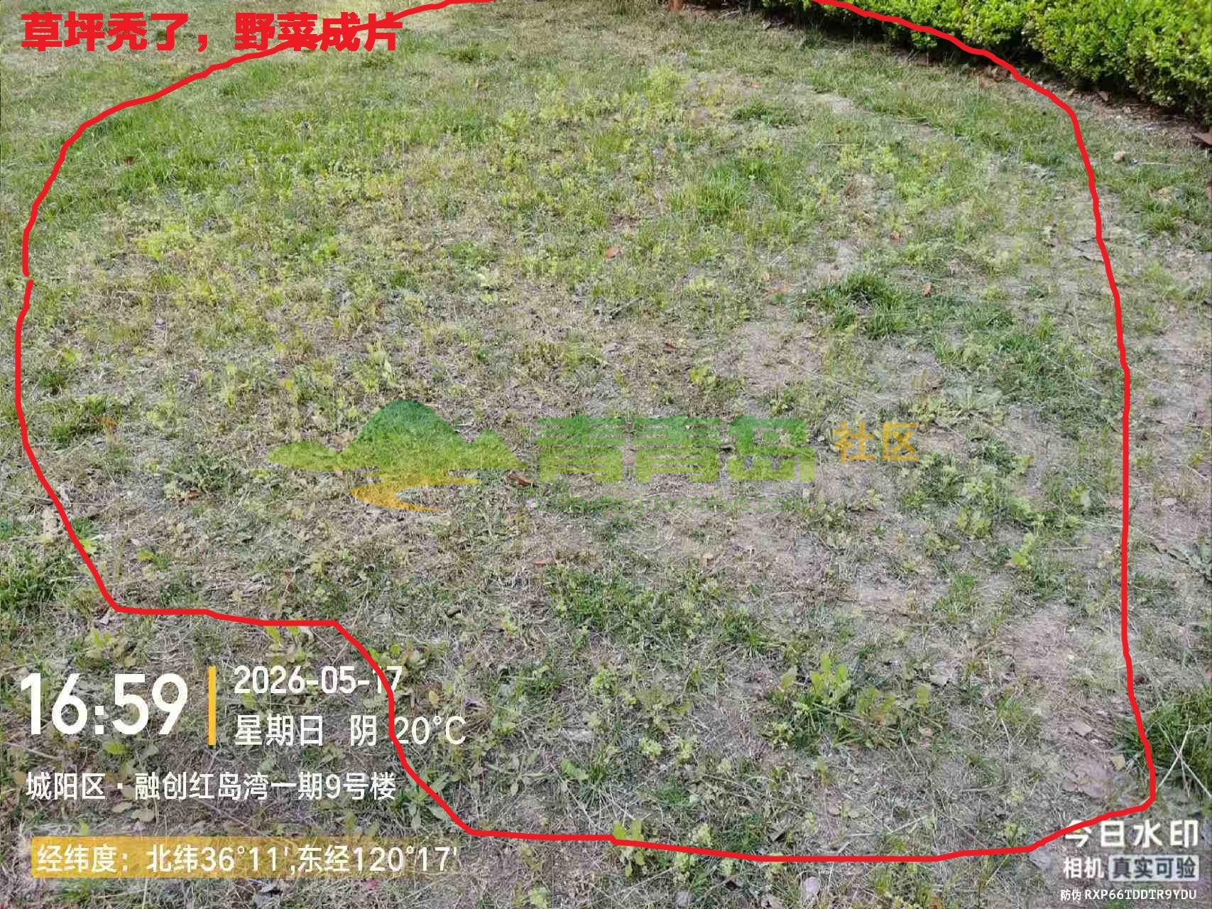 1779472815