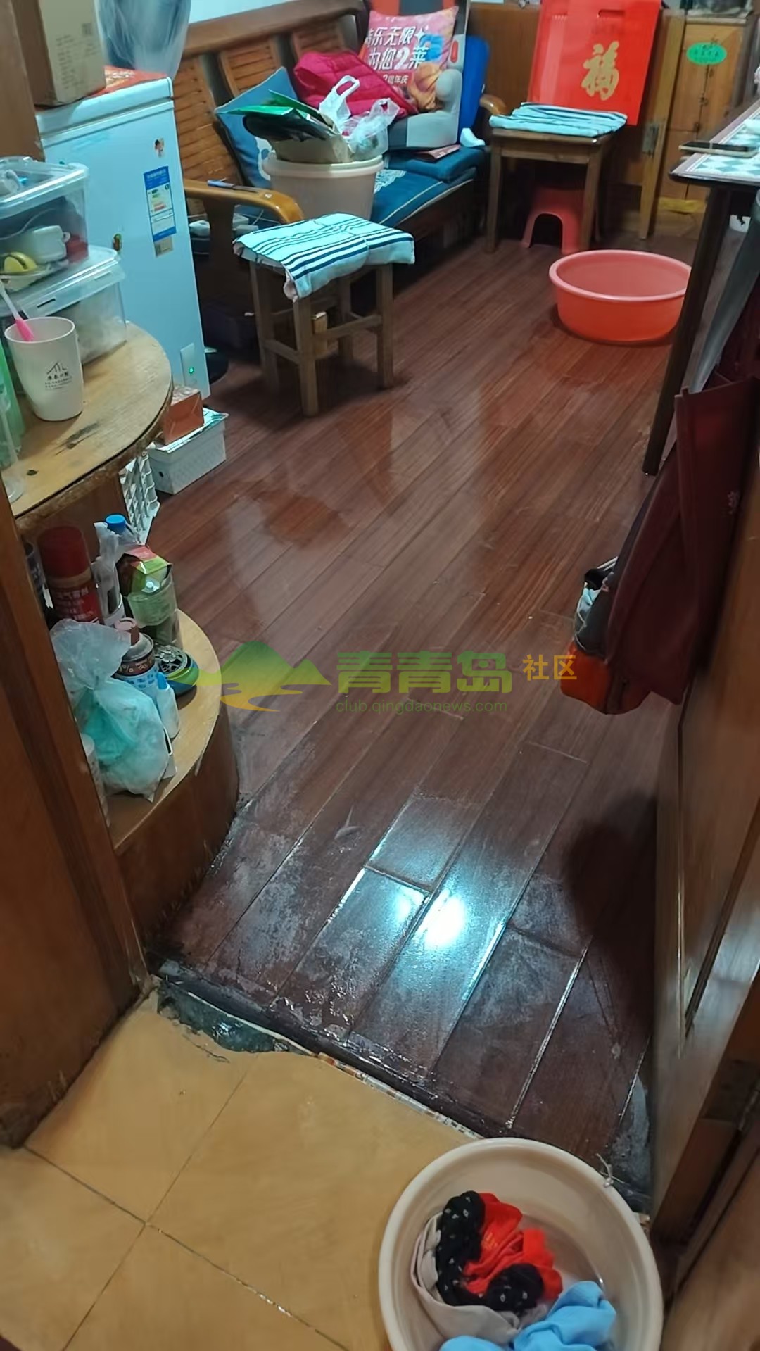 1768832036
