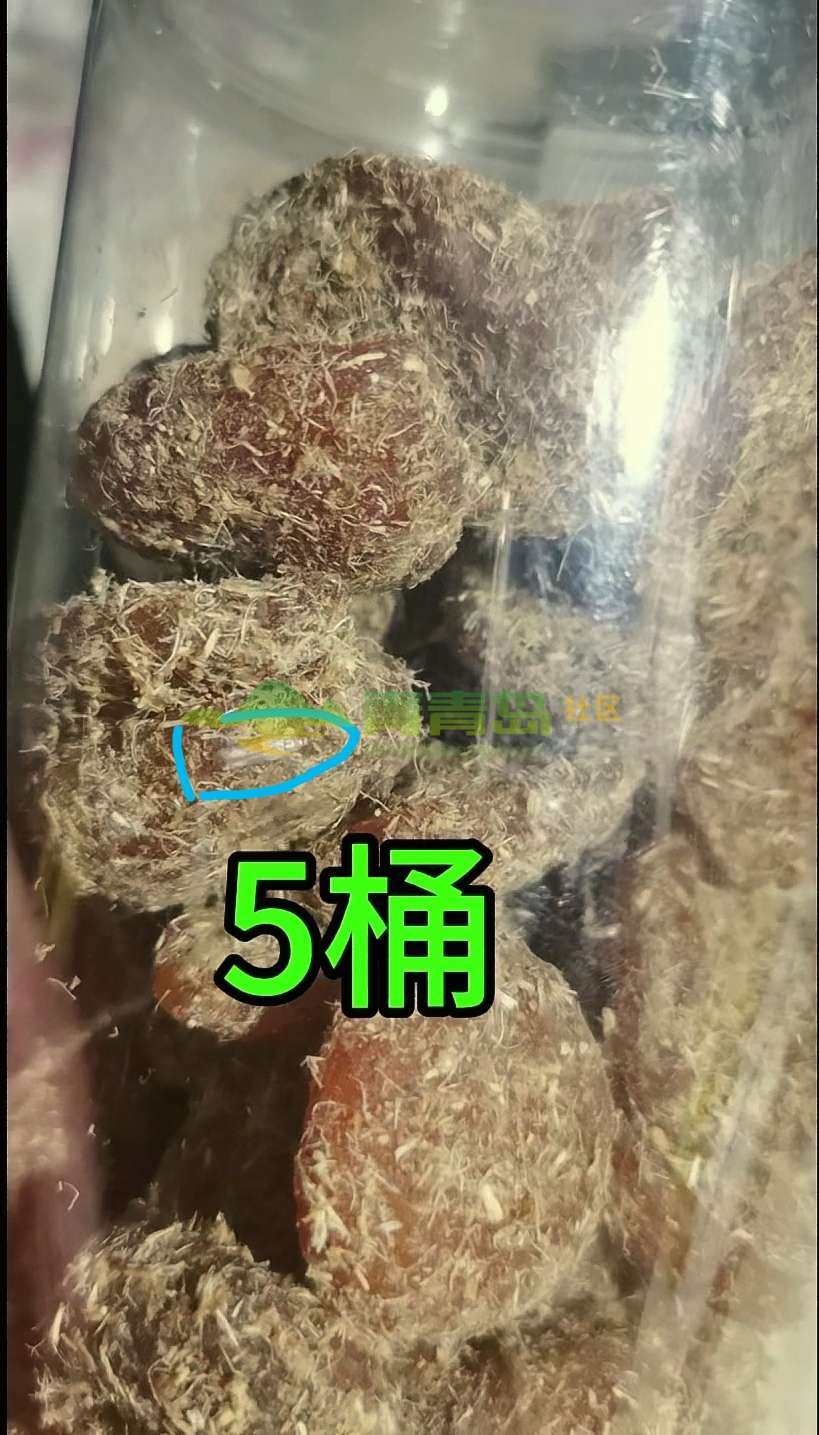 1754139458