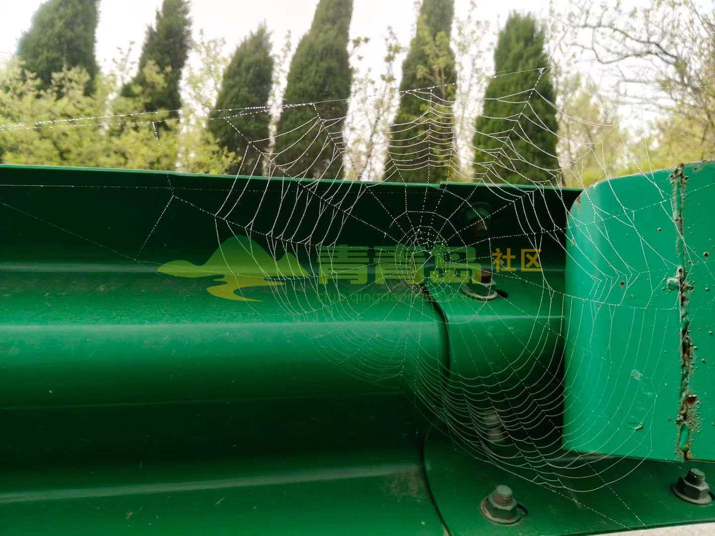 1785966543