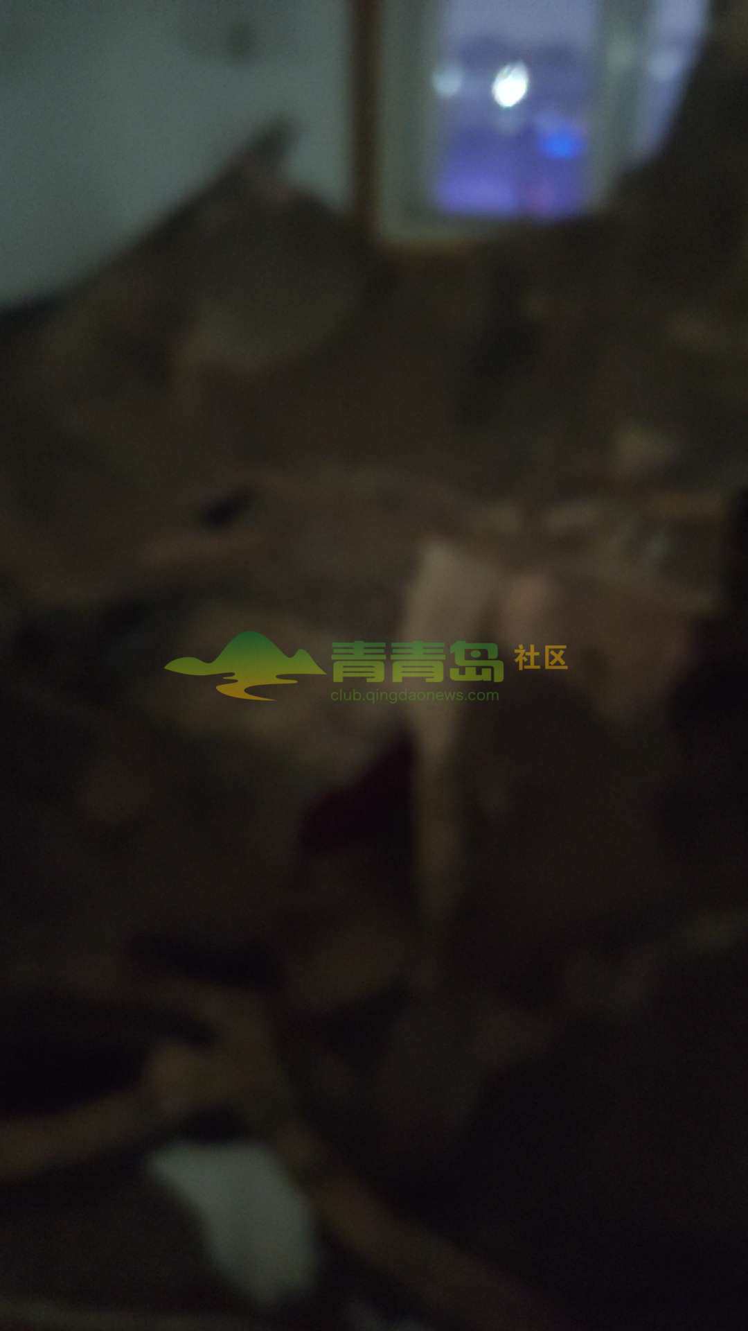 1775501143