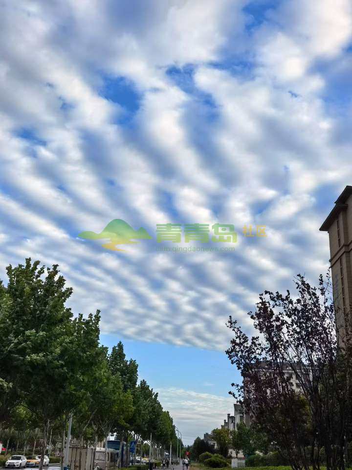 1789046217