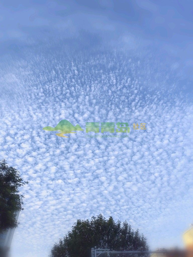 1775504493