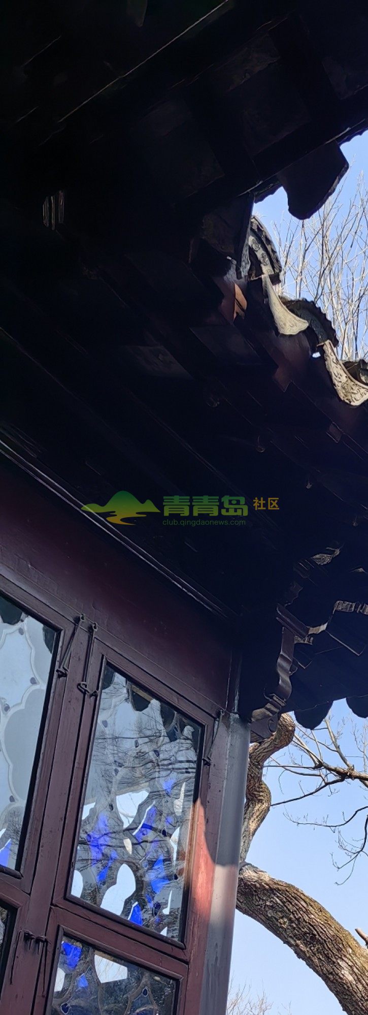 1772501818