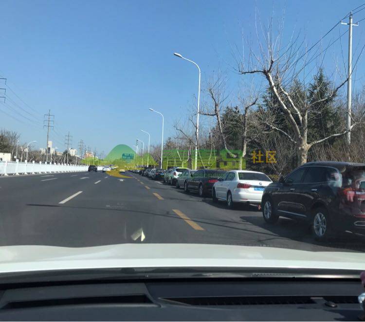 去浮山上玩的人真不少,看看银川路马路上停的这些车吧