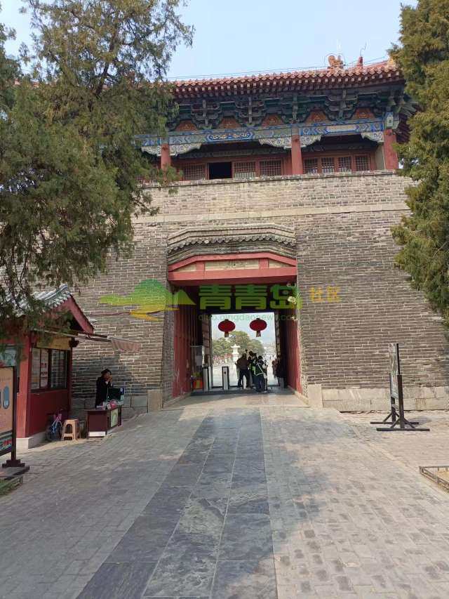 1768161639