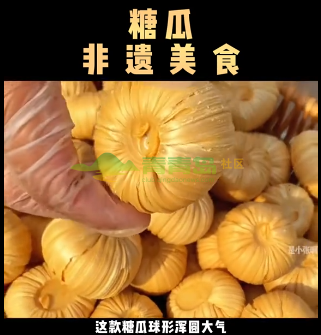 1754288169